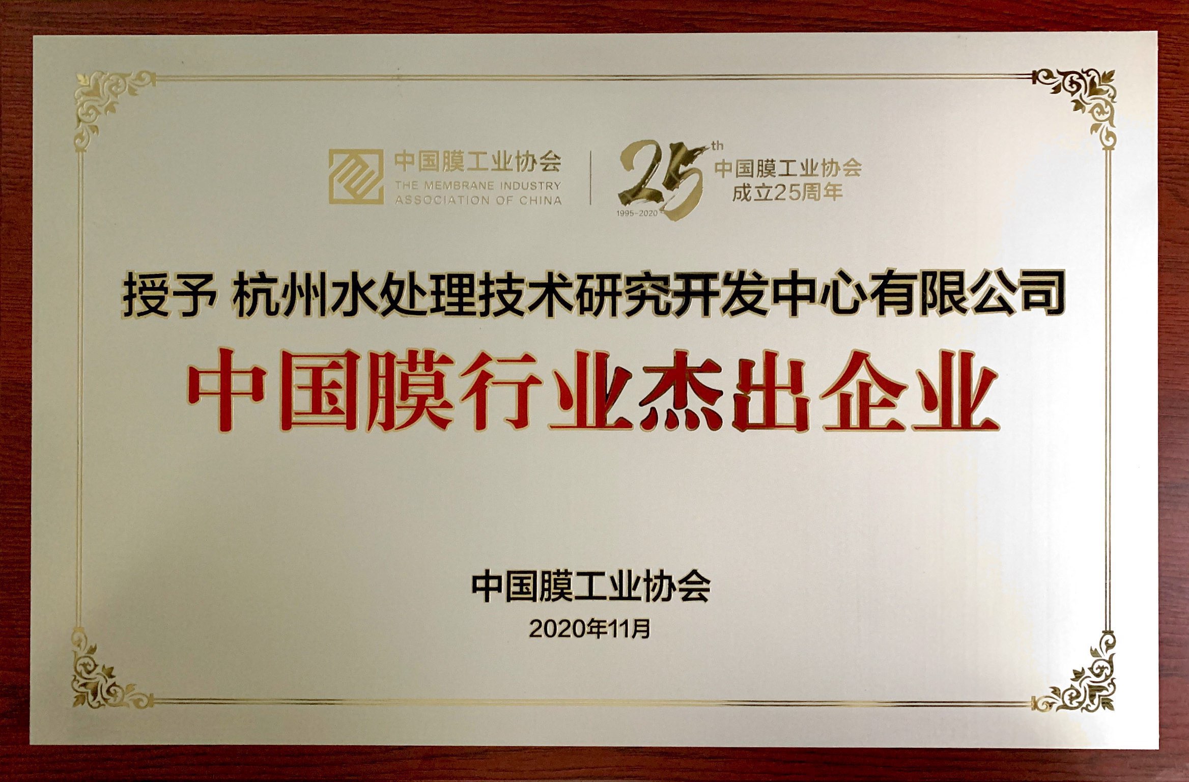 中国膜行业杰出企业
