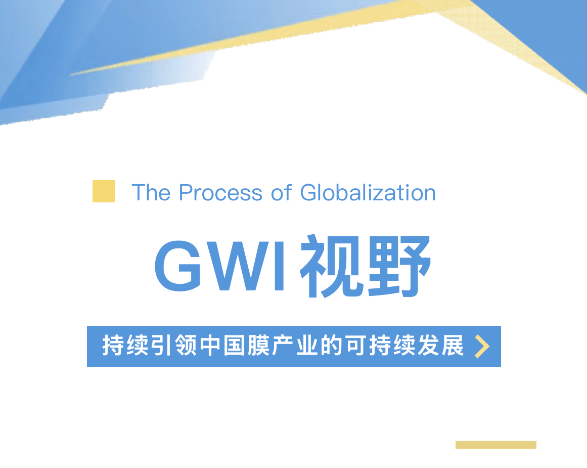 “6505”进行时｜从GWI视野看国产膜的全球化进程