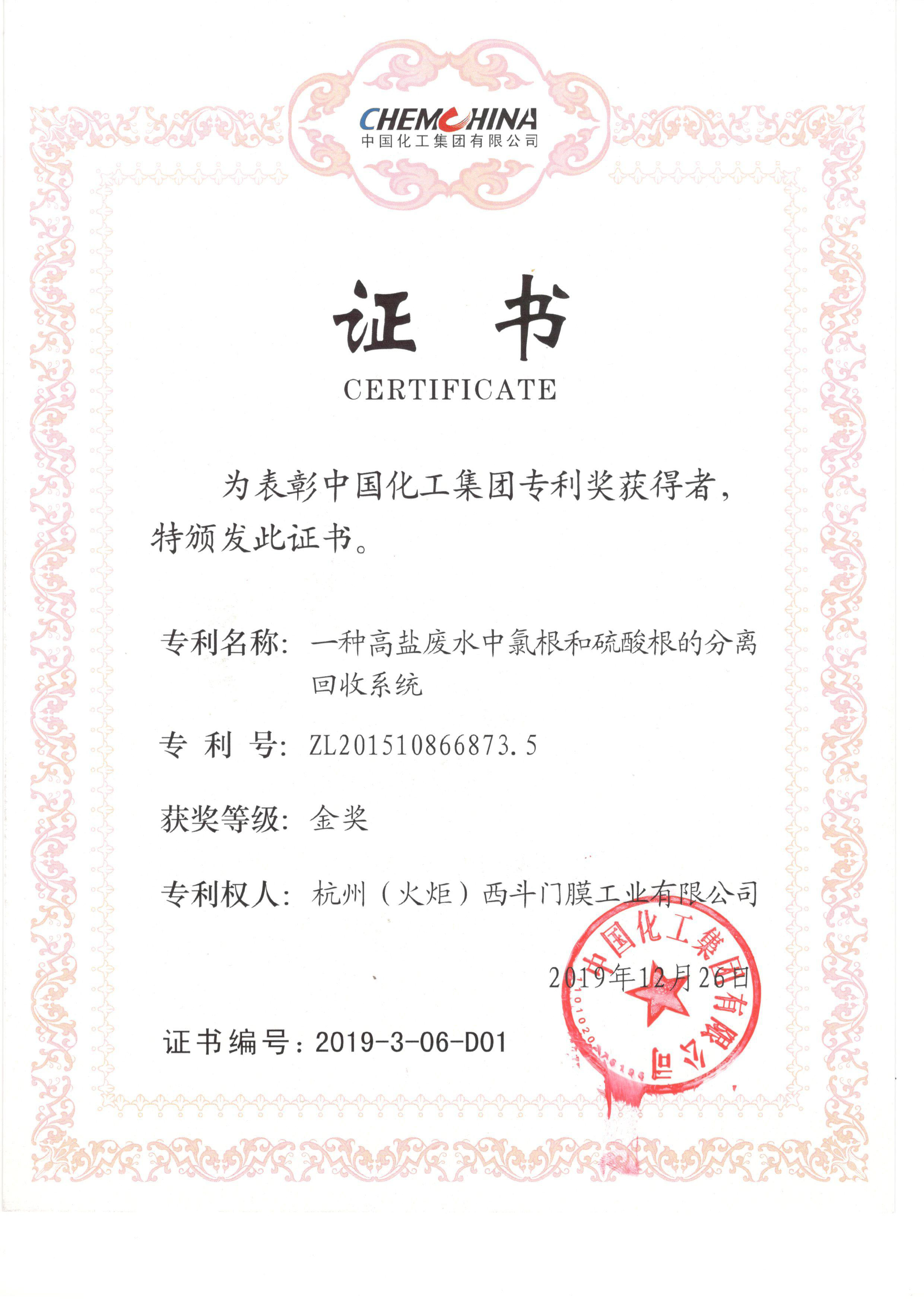 中国化工专利金奖